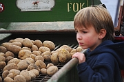 Kartoffelfest "Tolle Knolle"  2011