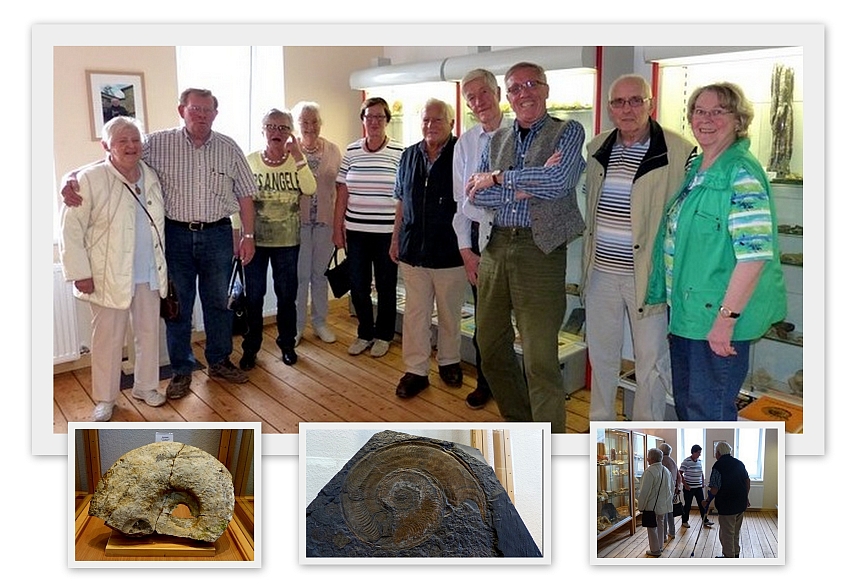 Besuch im Knappenheim am 19. August 2015 - Fossilienaustellung