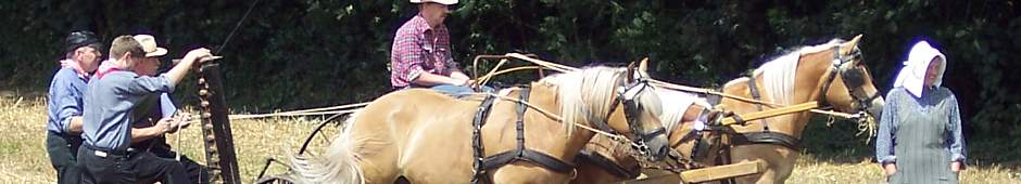 Brauchtumstage 2006 - Mähmaschine mit Pferden