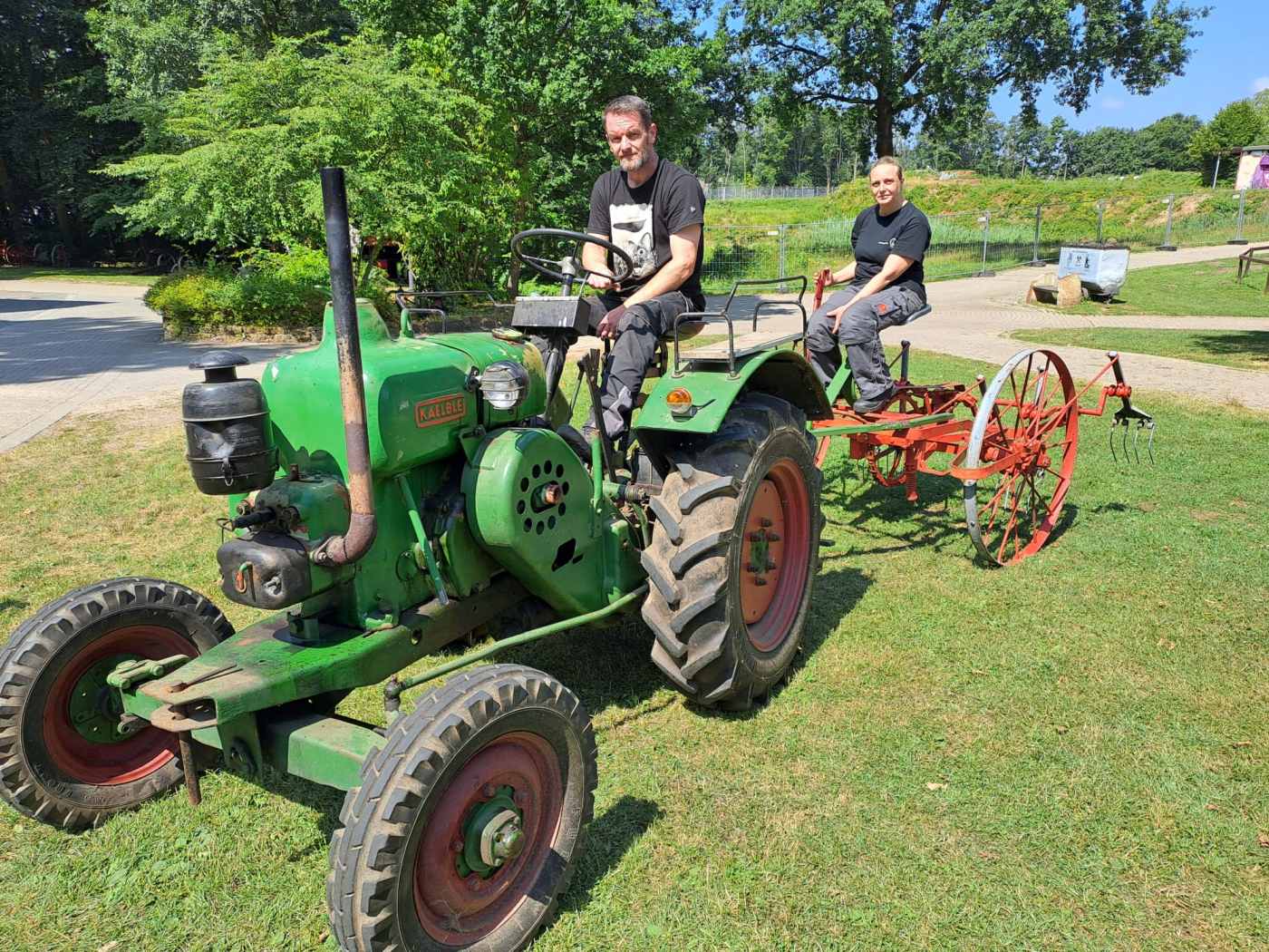 Fahr Gabelheuwender WD6