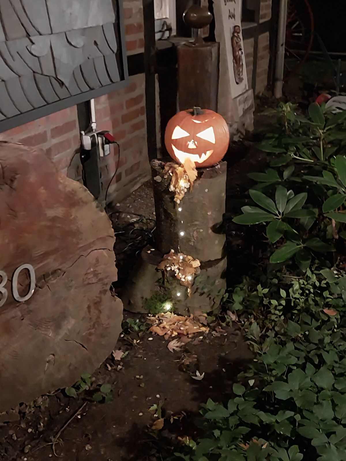 Halloween K&uuml;rbis 14