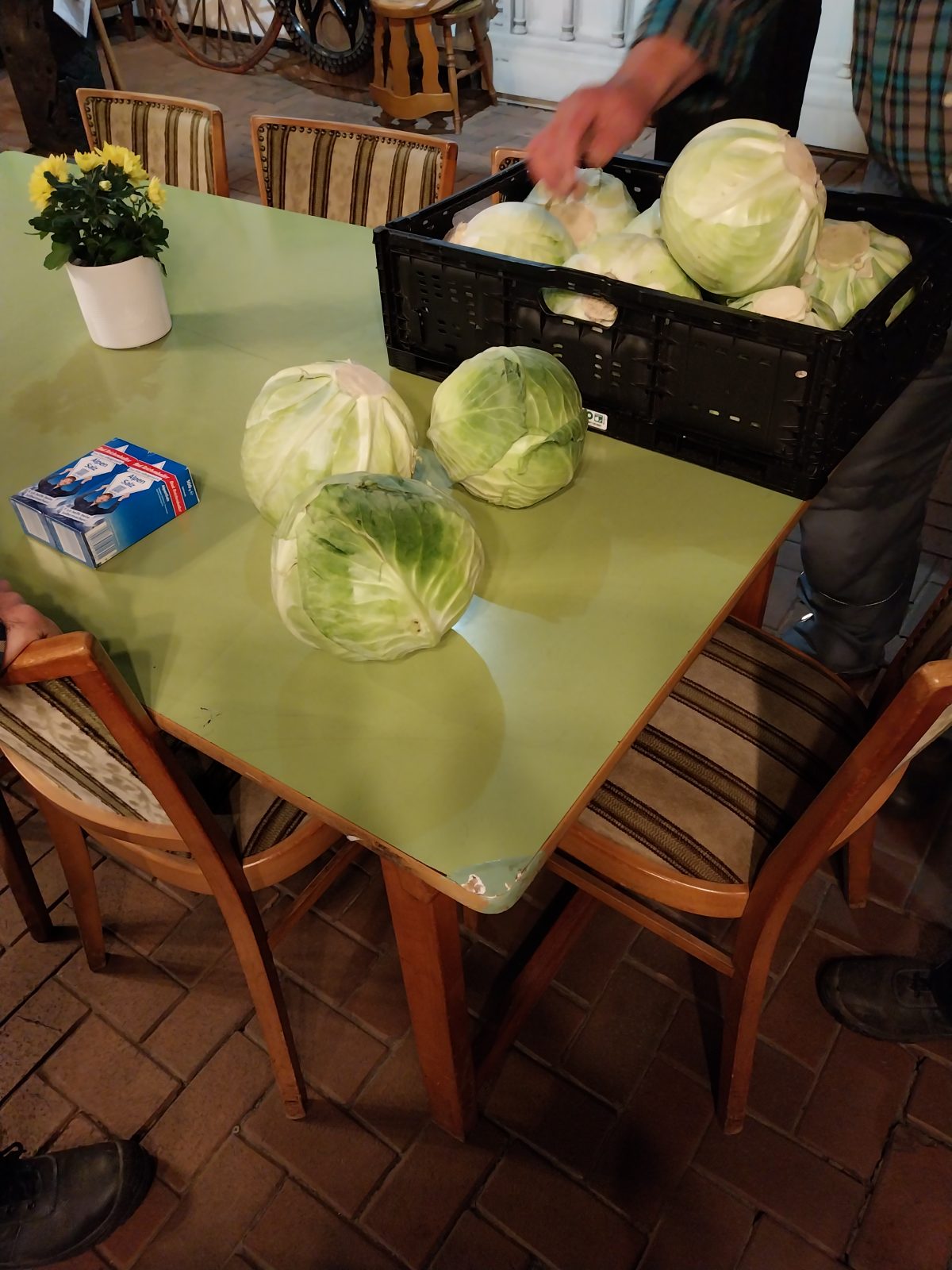 Sauerkraut 1