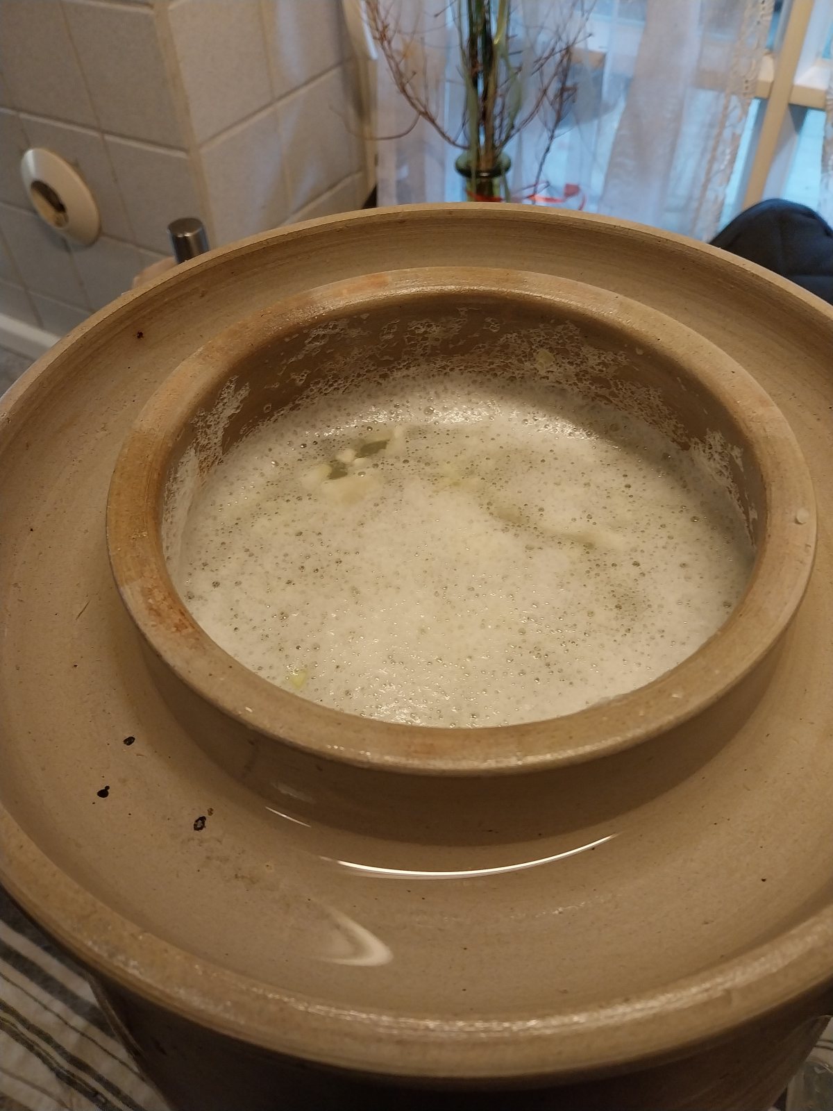 Sauerkraut 14